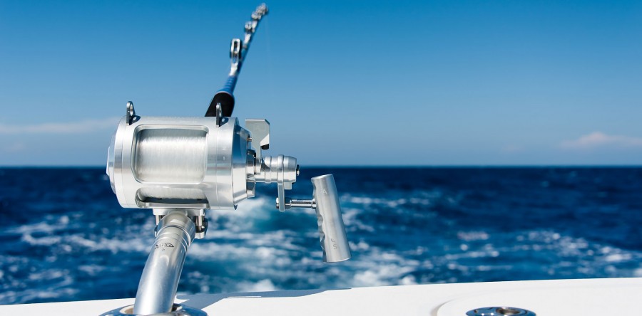 Rod & Reels